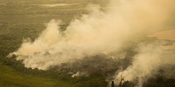 com-incendios,-mato-grosso-do-sul-decreta-situacao-de-emergencia