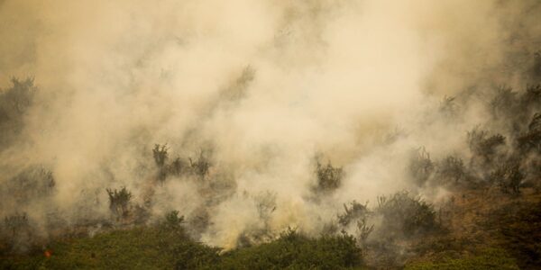 governo-vai-liberar-r$-100-mi-para-combate-a-incendios-no-pantanal