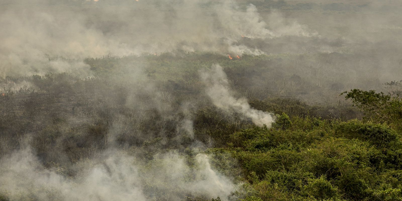 forca-nacional-reforca-equipe-de-combate-a-incendios-no-pantanal