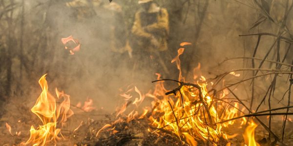 combate-a-incendios-pode-ser-feito-por-pilotos-e-avioes-estrangeiros 
