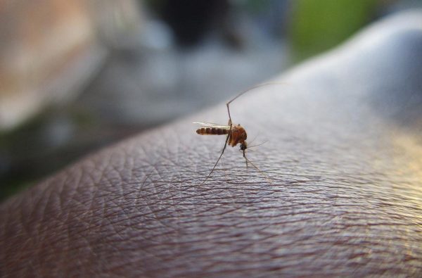 governo-encerra-centro-de-emergencia-contra-dengue