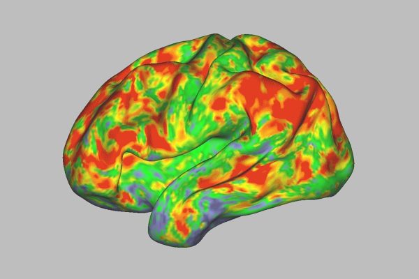 como-cogumelos-magicos-agem-no-cerebro?-estudo-traz-respostas