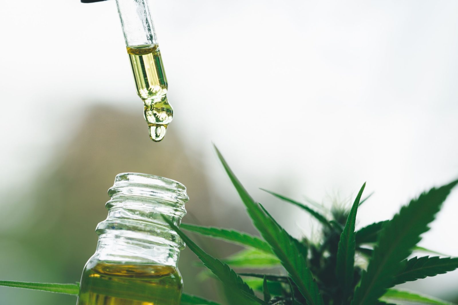 cannabis-medicinal-no-autismo:-entenda-indicacoes-e-potenciais-beneficios