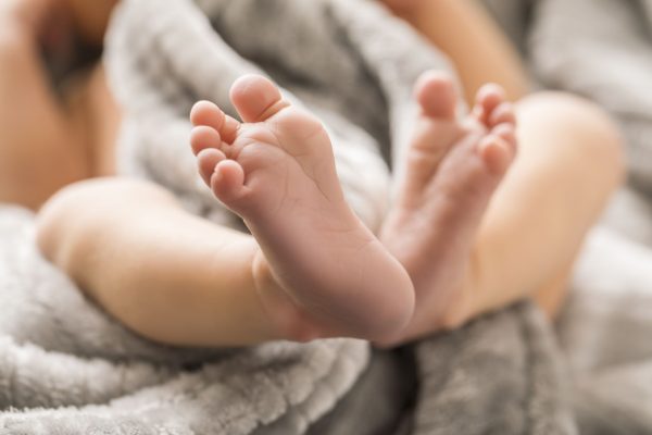 febre-oropouche:-quais-os-riscos-da-transmissao-vertical-para-o-bebe?
