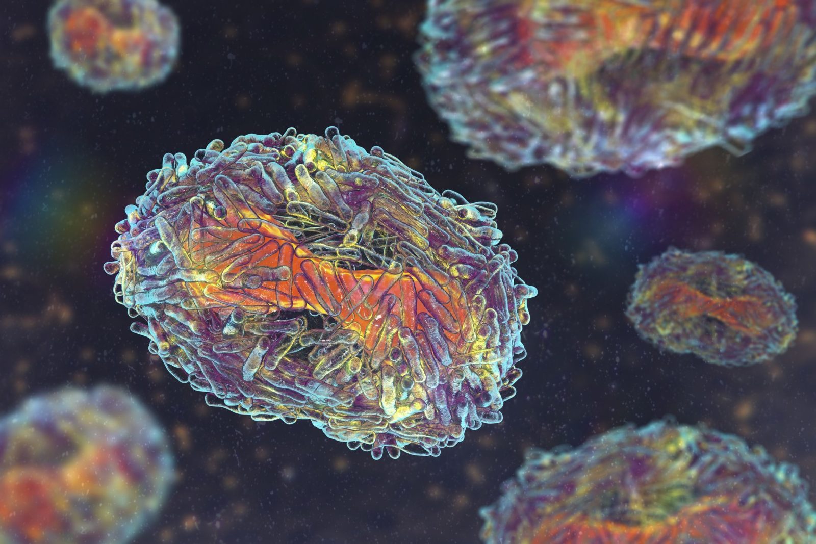 oms-avalia-se-mpox-deve-voltar-a-ser-declarada-emergencia-global