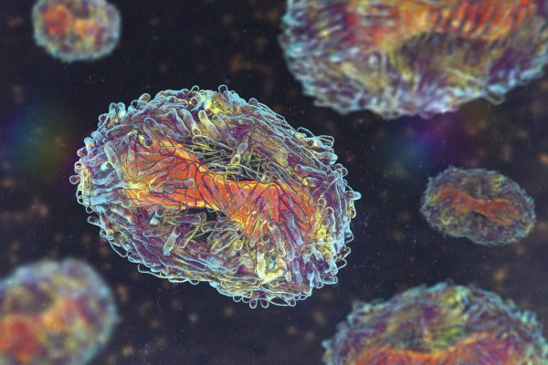 mpox-pode-causar-pandemia?-veja-o-que-dizem-especialistas