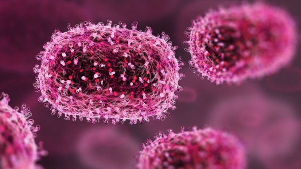 antiviral-para-mpox-nao-reduziu-sintomas-da-variante-mais-perigosa,-diz-analise