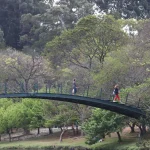 hoje-e-dia:-ibirapuera,-getulio-e-leminski-sao-destaques-da-semana