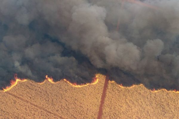 acucar-bruto-salta-3,5%-em-ny-apos-incendios-em-canaviais-no-brasil