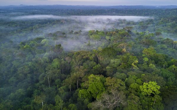 empresarios-e-economistas-assinam-pacto-pela-natureza-para-enfrentar-mudancas-climaticas