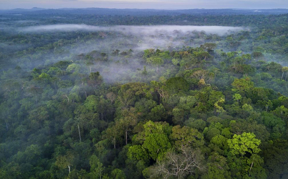 empresarios-e-economistas-assinam-pacto-pela-natureza-para-enfrentar-mudancas-climaticas