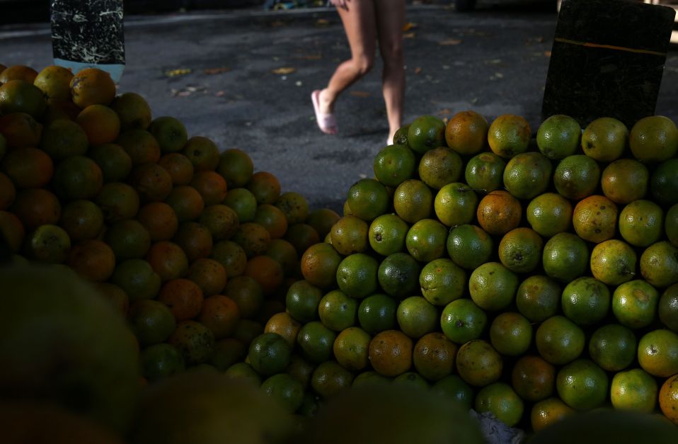 fundecitrus-reduz-mais-a-safra-de-laranja-de-sp-e-mg;-preco-do-suco-tem-recorde