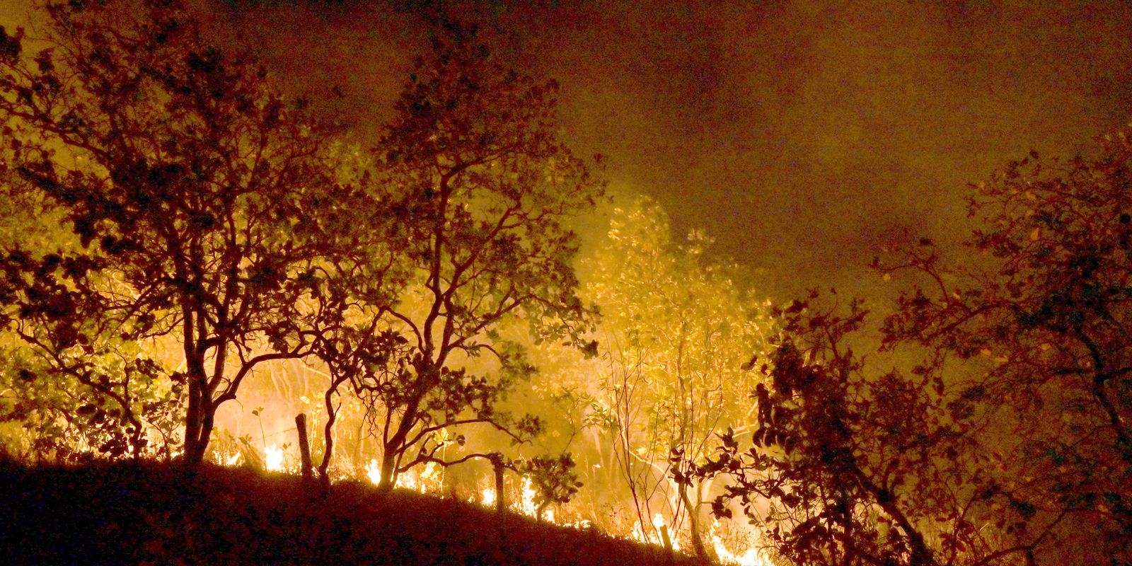 bombeiros-combatem-mais-de-330-incendios-no-estado-do-rio