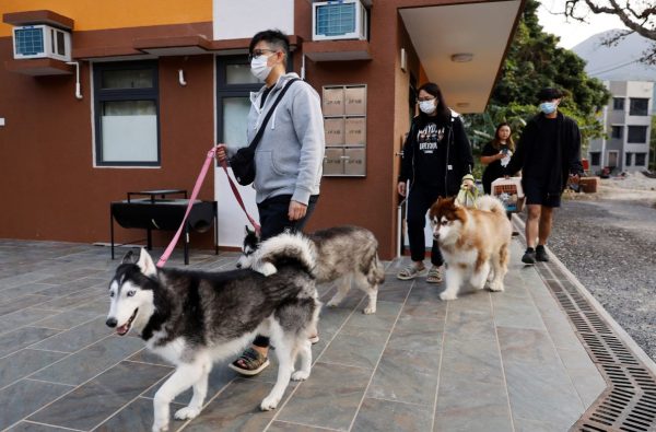 china-tera,-em-breve,-mais-pets-do-que-criancas-pequenas;-entenda-por-que-equacao-ameaca-economia