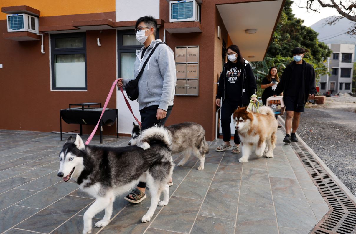 china-tera,-em-breve,-mais-pets-do-que-criancas-pequenas;-entenda-por-que-equacao-ameaca-economia