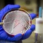 resistencia-a-antibioticos-podera-matar-mais-de-39-milhoes-ate-2050,-diz-estudo