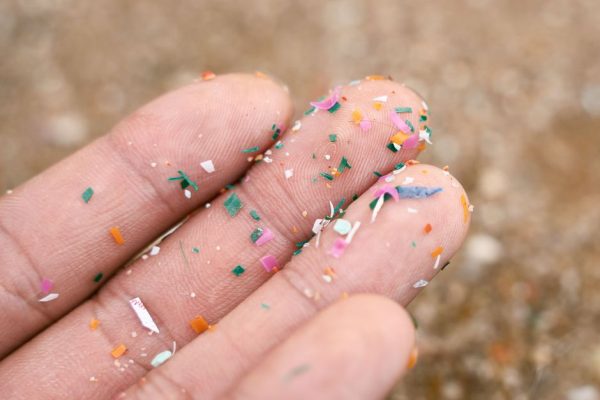 microplasticos-sao-encontrados-em-tecido-do-nariz-na-base-do-cerebro,-diz-estudo