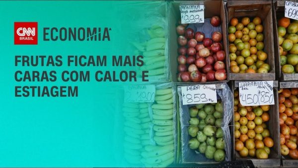 safras-eleva-previsao-para-producao-de-soja-do-brasil-com-aumento-na-area