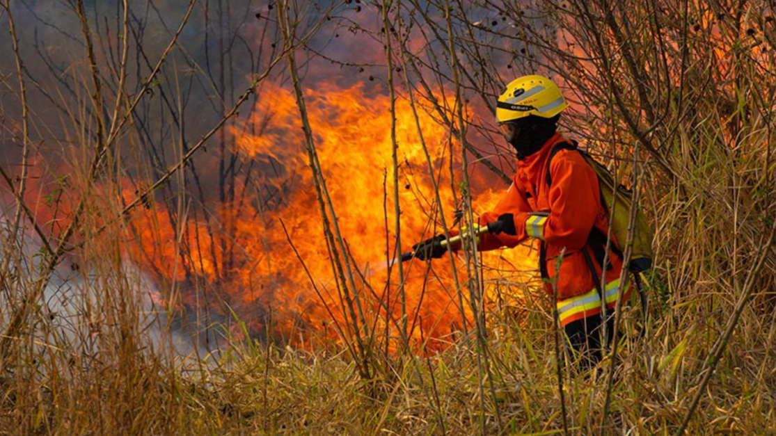 candidatos-de-cidades-recordistas-em-queimadas-ignoram-propostas-de-combate-a-incendios