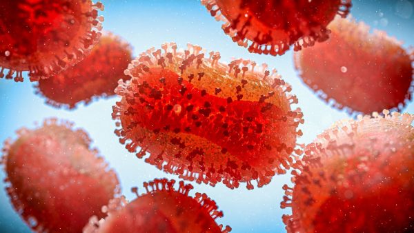 mpox:-oms-aprova-primeiro-teste-de-diagnostico-para-uso-emergencial