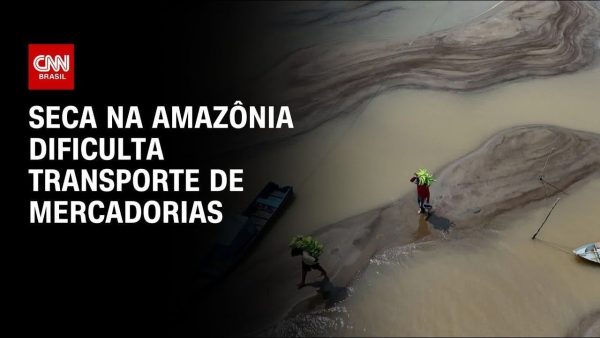 seguro-contra-roubo-de-carga-cresce-29%-em-um-ano,-diz-cnseg