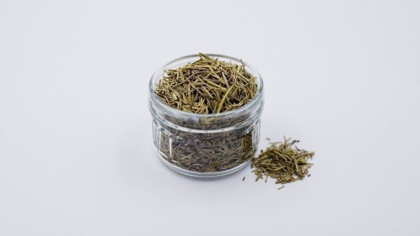 cha-de-alecrim:-veja-os-beneficios-e-como-preparar