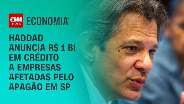 brf-e-marfrig-anunciam-expansao-da-sadia-no-mercado-global-de-carnes-bovinas