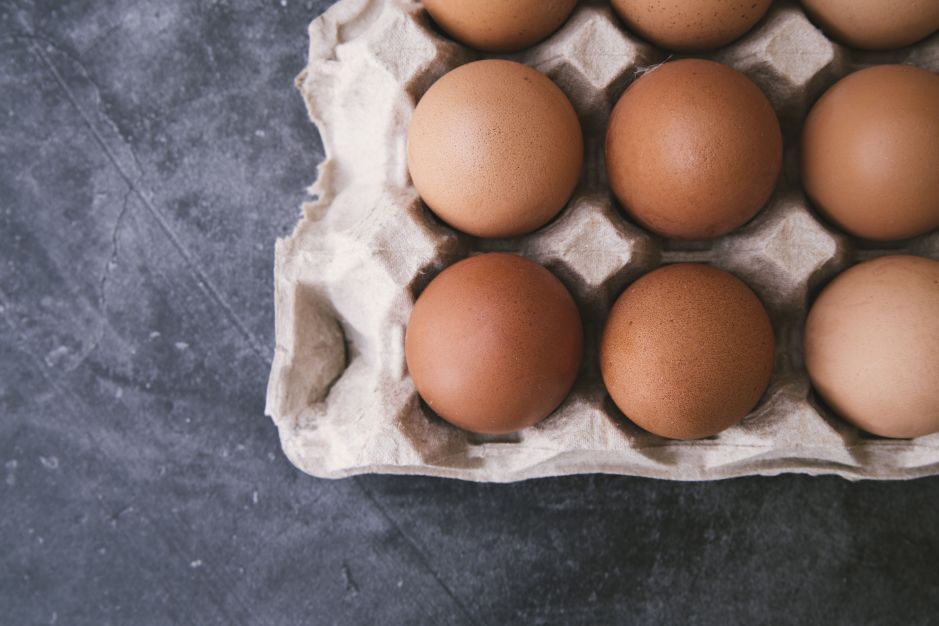 consumo-de-ovo-pode-ajudar-a-melhorar-memoria,-indica-pesquisa