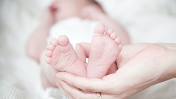 o-que-acontece-nas-primeiras-horas-de-vida-do-bebe?-confira-7-pontos