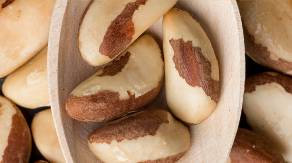castanha-do-para:-veja-5-beneficios-da-semente-para-a-saude-e-como-consumir