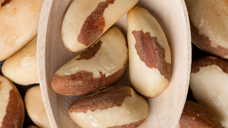 castanha-do-para:-veja-5-beneficios-da-semente-para-a-saude-e-como-consumir