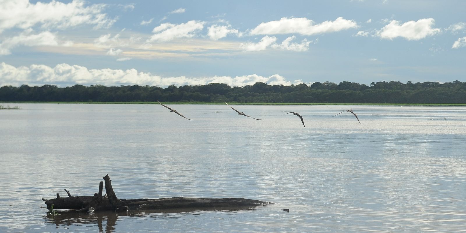 seca:-governo-paga-auxilio-para-pescadores-da-regiao-norte