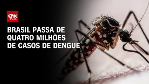 brasil-recebe-da-oms-certificado-de-pais-livre-da-elefantiase