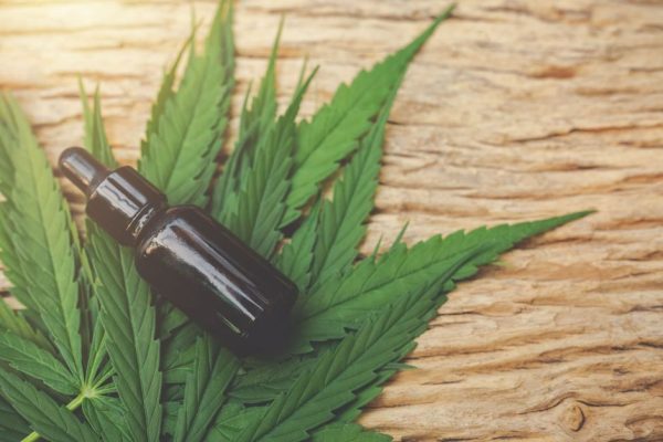 cannabis-medicinal:-o-que-e,-para-que-serve-e-beneficios