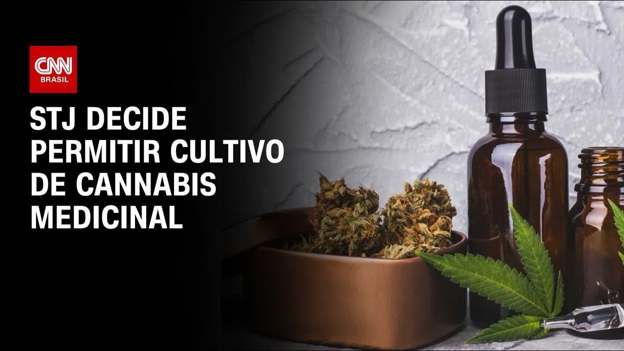governo-de-sp-veta-projeto-que-inclui-cannabis-medicinal-no-remedio-popular
