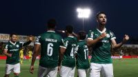 palmeiras-denuncia-racismo-contra-seguranca-do-clube-em-mirassol
