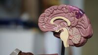 sintomas-de-demencia-podem-variar-entre-etnias,-diz-estudo
