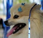 carnaval:-suor-e-glitter-podem-causar-irritacao-na-pele;-veja-cuidados