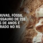 mpf-recupera-fosseis-de-100-milhoes-de-anos-que-estavam-no-reino-unido