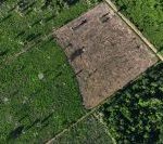 cop30:-governo-e-instituto-aya-revelam-relatorio-de-transformacao-ecologica