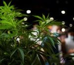 viver-sucessivos-desastres-ambientais-piora-saude-mental,-diz-estudo