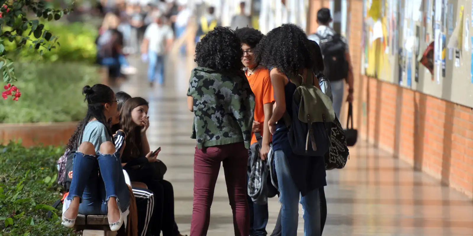 programa-que-oferta-bolsas-de-estudo-a-negros-tem-inscricao-prorrogada