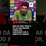 palmeiras-garante-premiacao-milionaria-com-classificacao-na-libertadores