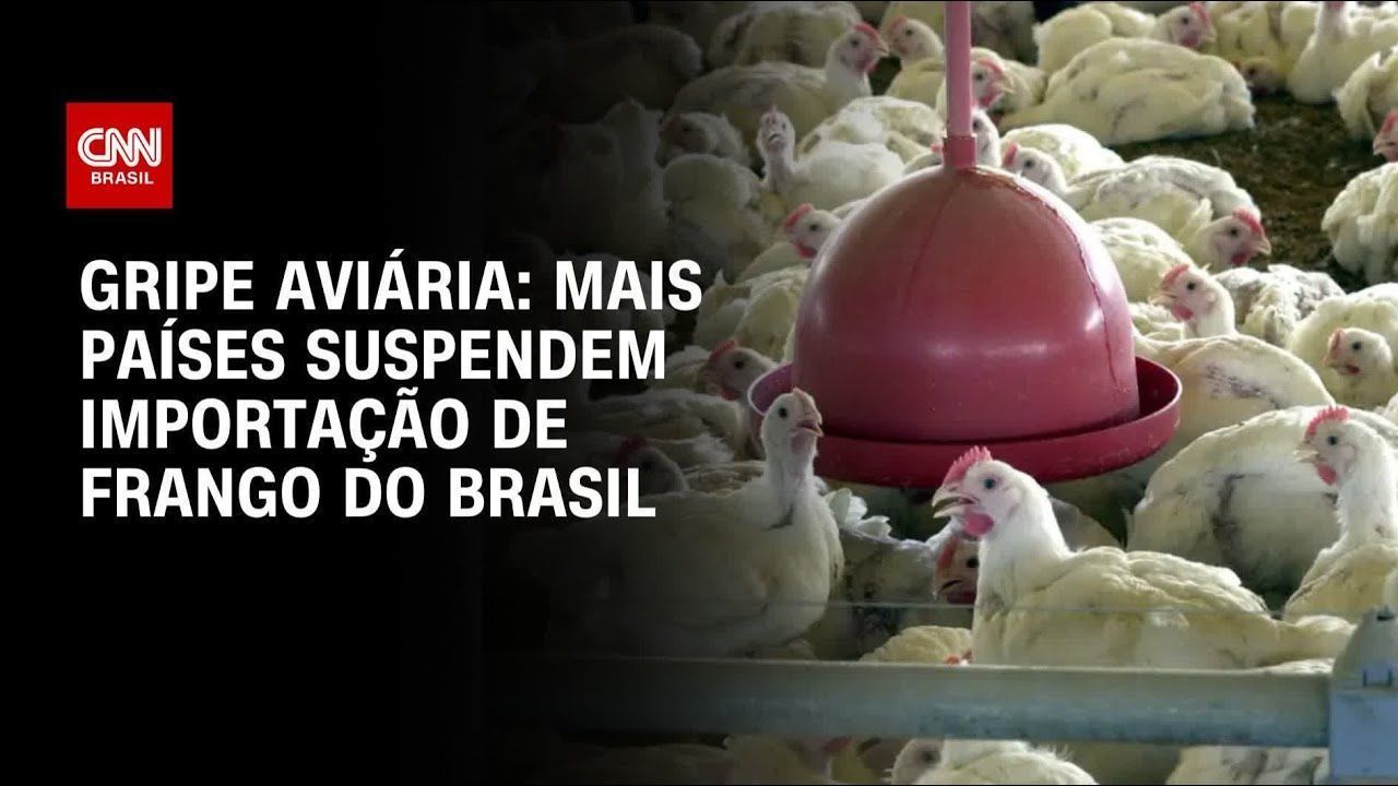 gripe-aviaria:-governo-rastreia-ovos-fornecidos-por-granja-contaminada