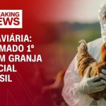 alckmin:-gripe-aviaria-e-limitada-ao-rs-e-protocolos-estao-sendo-cumpridos