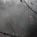 ue:-incendios-florestais-ja-queimaram-mais-de-1-milhao-de-hectares