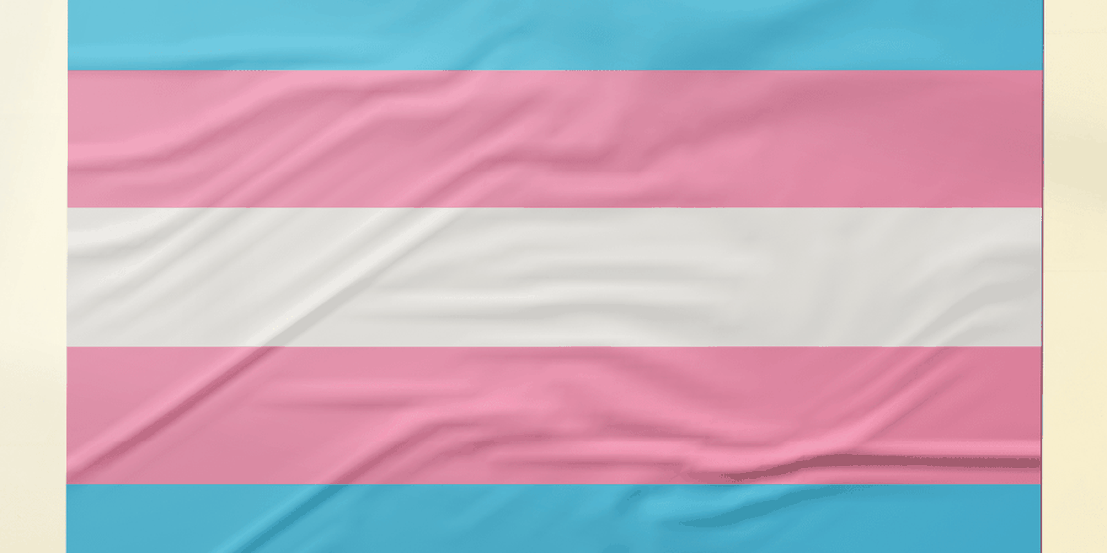 pesquisa-recomenda-acoes-de-prevencao-ao-hpv-focadas-em-pessoas-trans