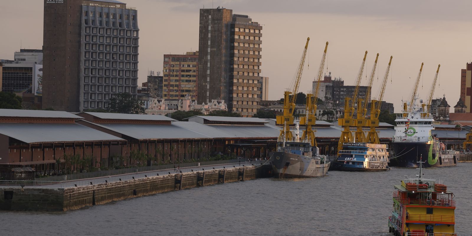 delegado-aponta-risco-no-combate-a-crimes-ambientais-com-pl-antifaccao