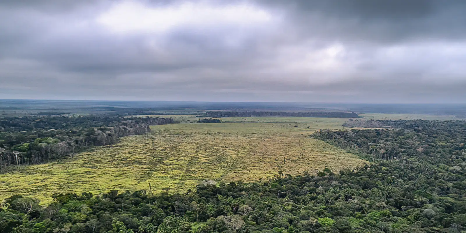 sociedade-civil-ve-retrocesso-grave-em-queda-de-vetos-de-pl-ambiental