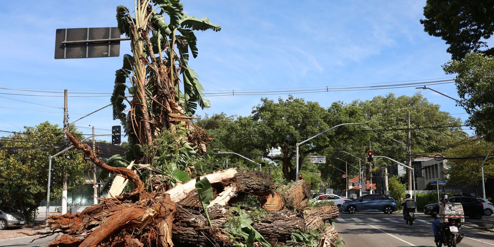 sao-paulo-enfrenta-ventos-de-quase-100-km/h-nesta-quarta-feira